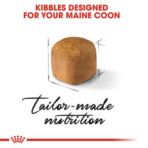 ROYAL CANIN® Maine Coon Kitten 10kg